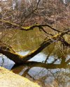 18 Vom Wasser angezogen